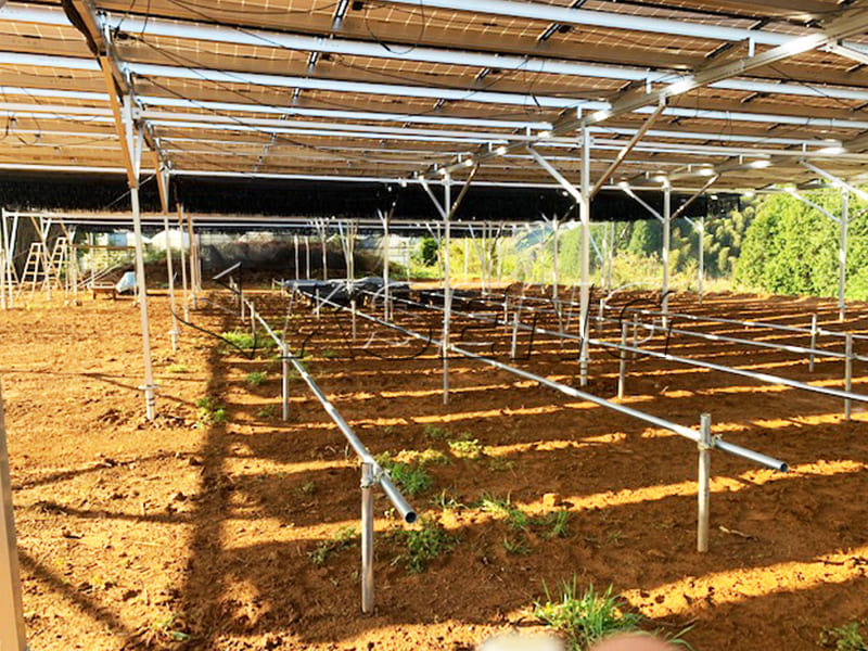 Japan 県 saga karatsu city agricultural greenhouses photovoltaic stents 424.32 KW