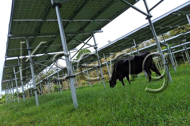 萤石死Solarlandwirtschaft死现代Landwirtschaft verbessern吗?
