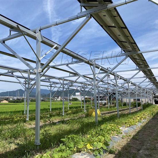 agricoltura solare