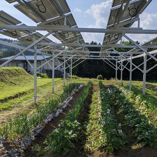 太阳能农业