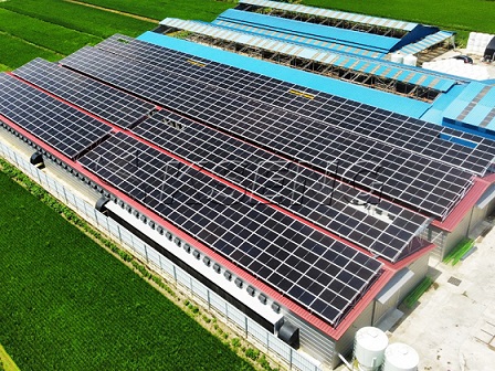400kW-韩国的屋顶太阳能解决方案